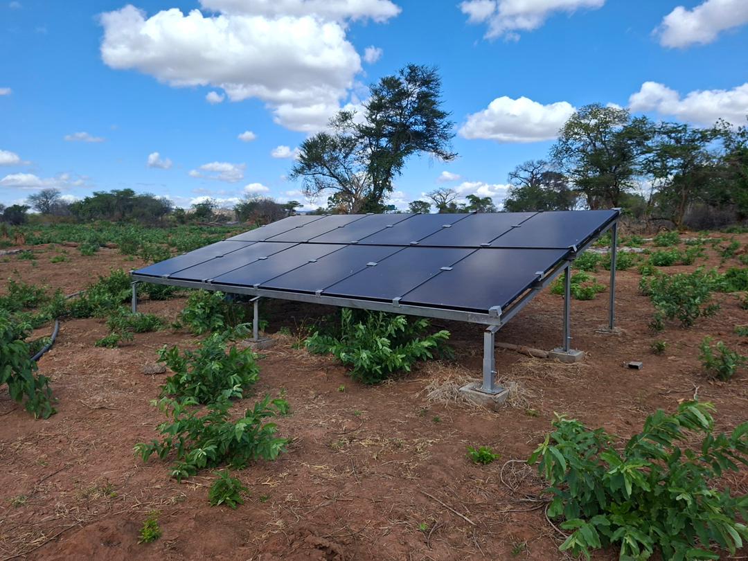 INSTALLATION OF DRIP IRRIGATION SYSTEM